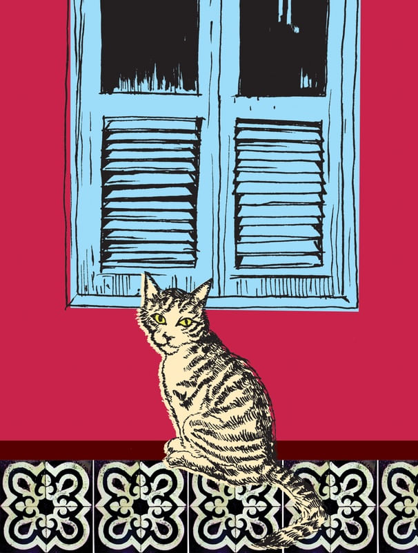 GATO E JANELA 2