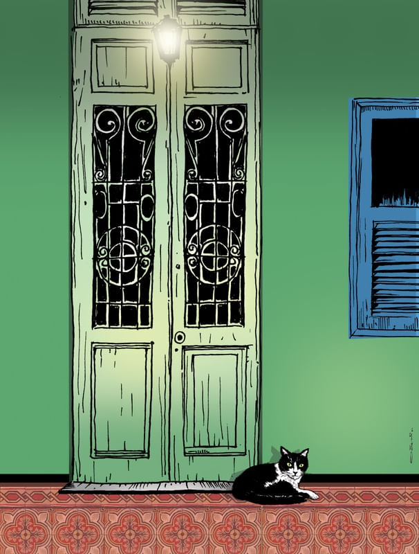 GATO E PORTA