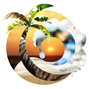 PALM ISLAND