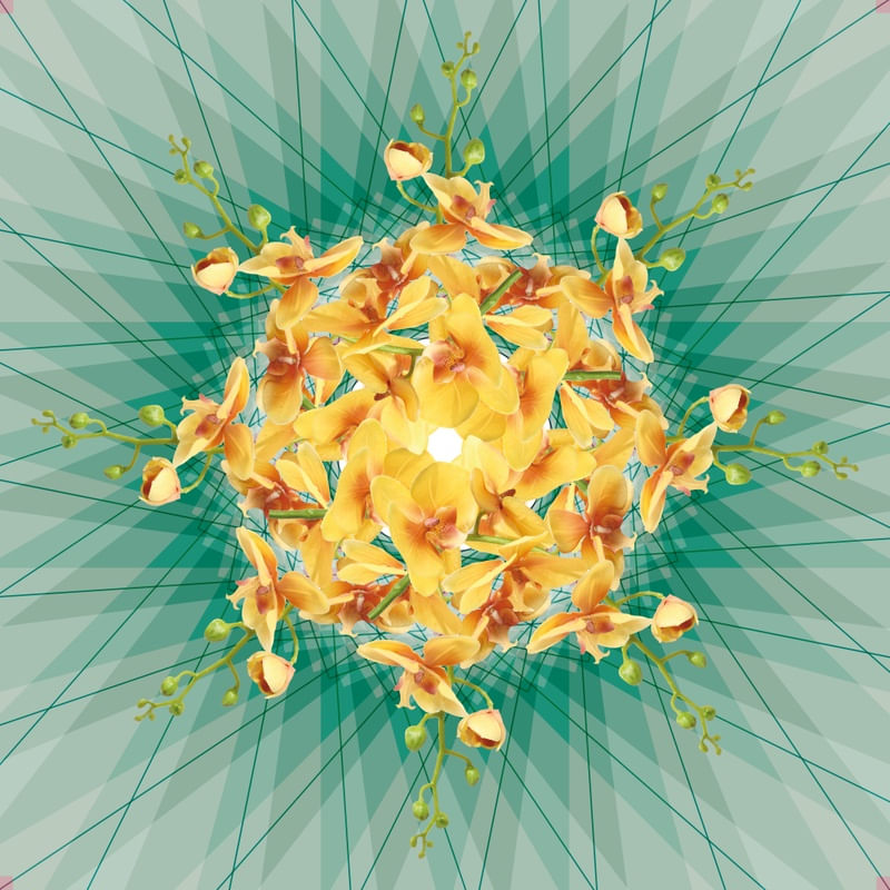 MANDALA ORQUÍDEA