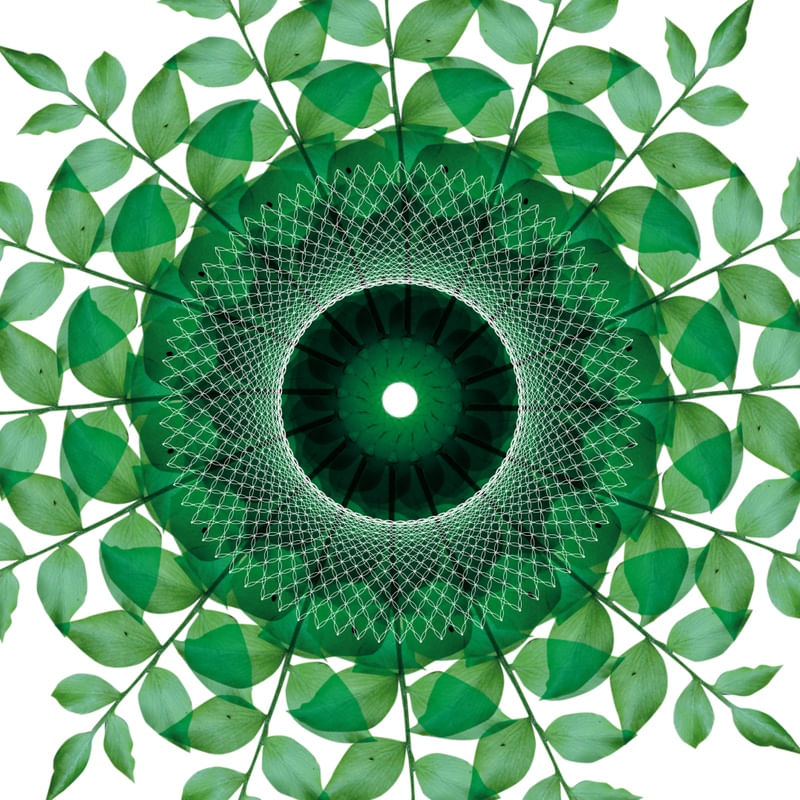 MANDALA GREEN