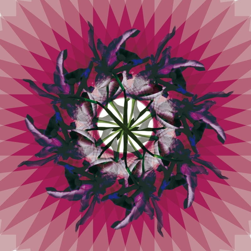 MANDALA ARTE