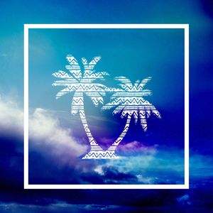 PALM AND SKY