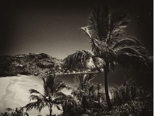 BONETE - ILHA BELA