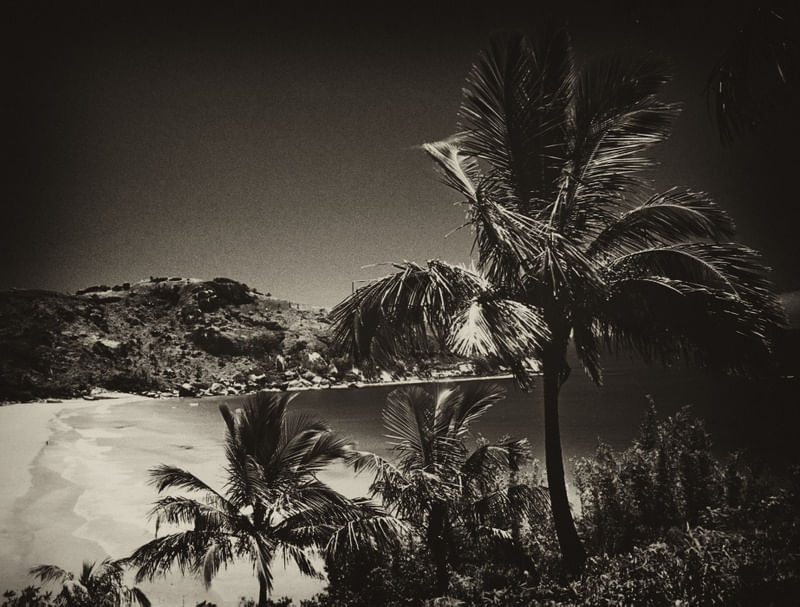 BONETE - ILHA BELA