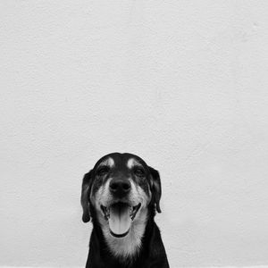 O ÚNICO