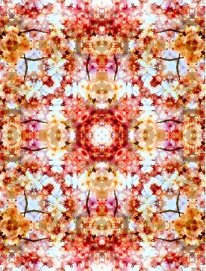 ABSTRACT FLOWERS