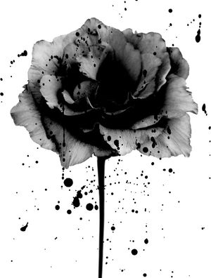 PB FLOWER 2