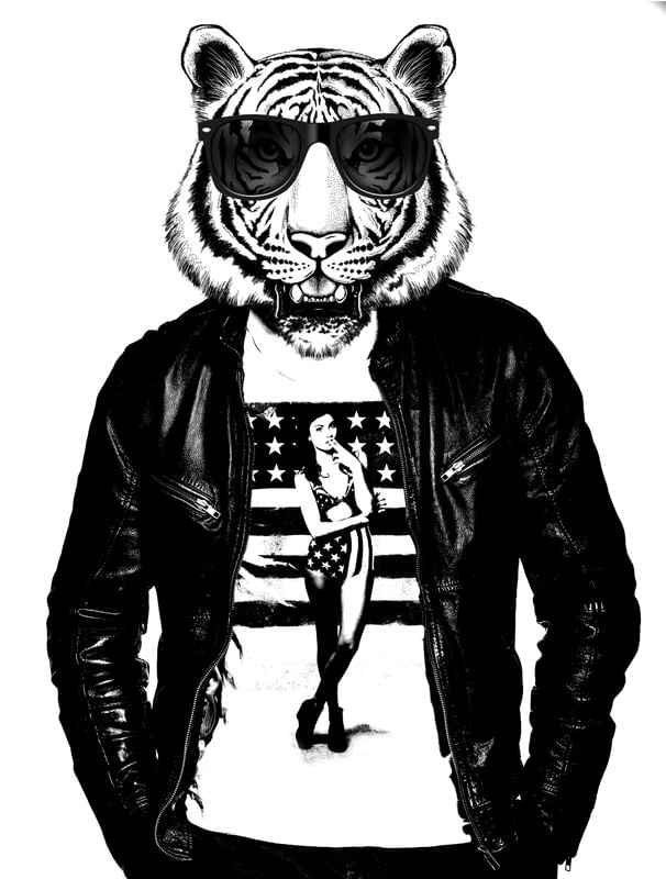 TIGER PB