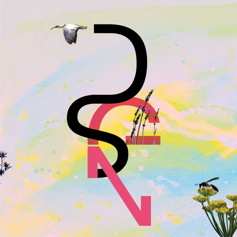 DSGN NATURAL