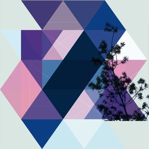 GEOMETRIA NATURALIS