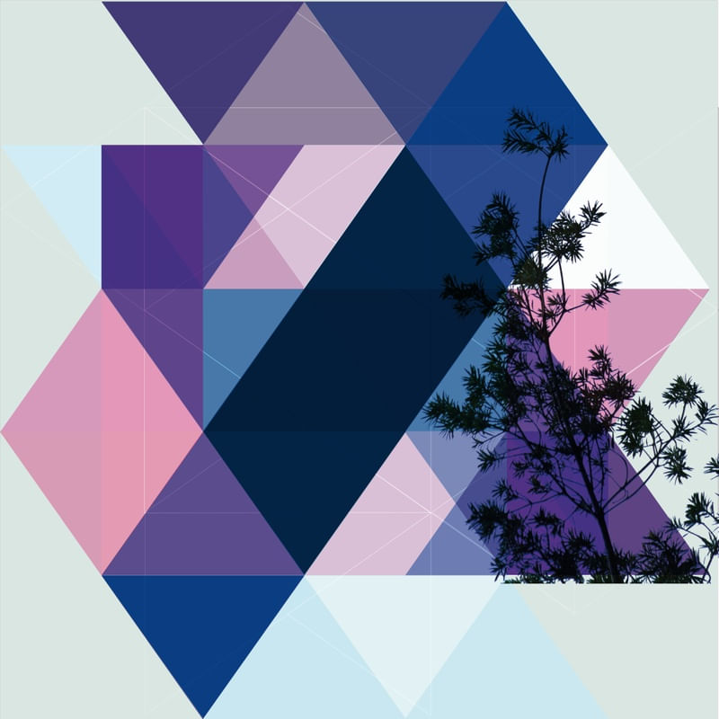 GEOMETRIA NATURALIS