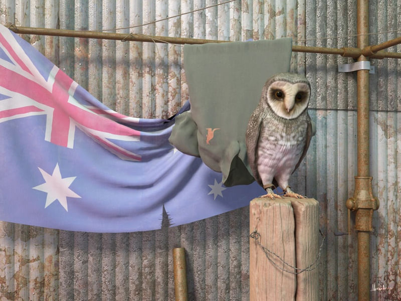 CORUJA AUSTRALIANA