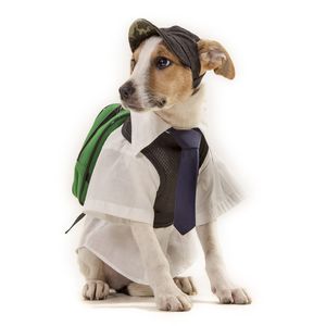 DOG MODELS - ESCOLAR 1