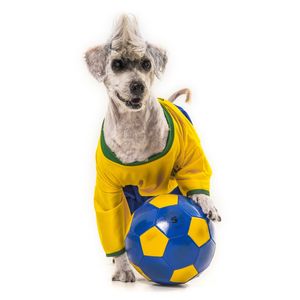 DOG MODELS - JOGADOR 1