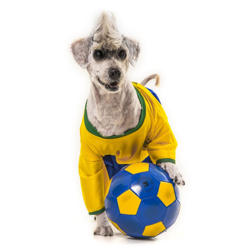 DOG MODELS - JOGADOR 1