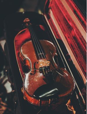 VIOLINO EM VELUDO VERMELHO
