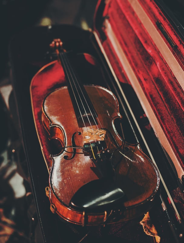 VIOLINO EM VELUDO VERMELHO