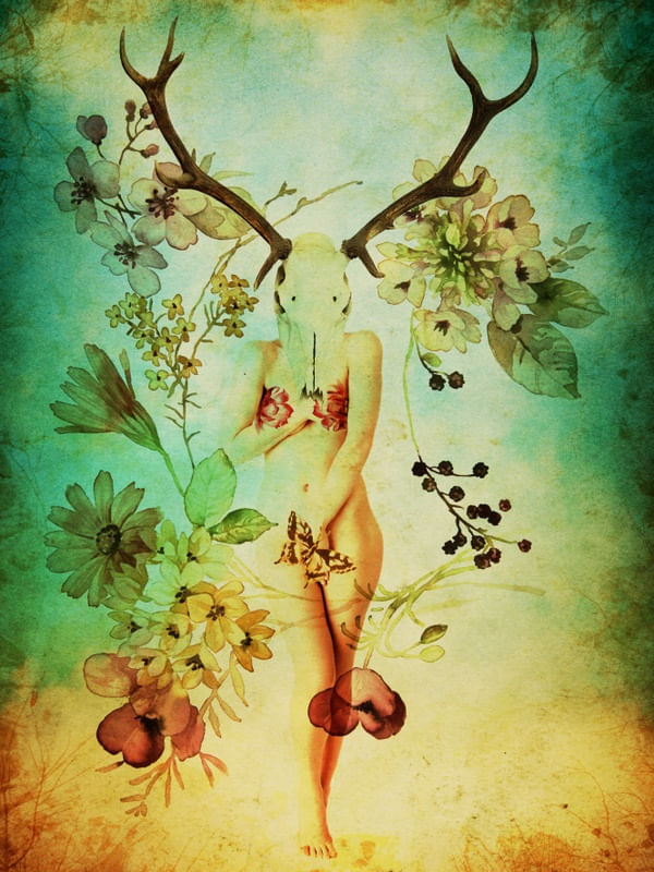 GIRL DEER SKUL
