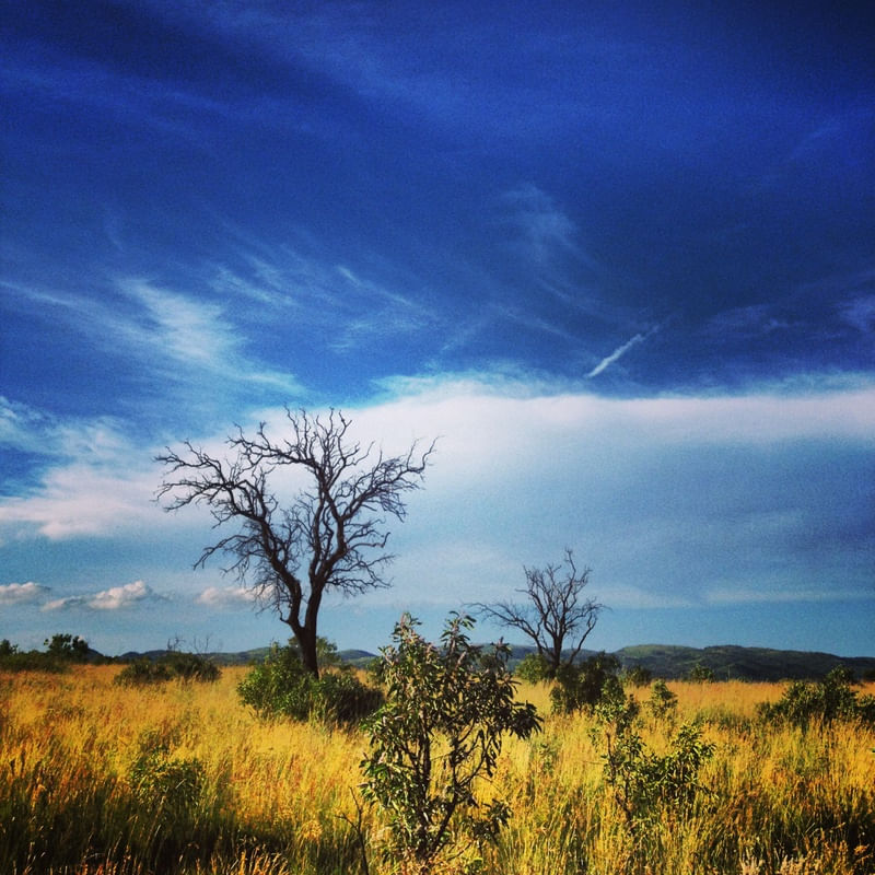 SOUTH AFRICA