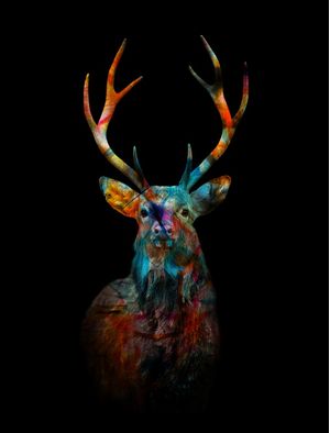 DEER COLOR