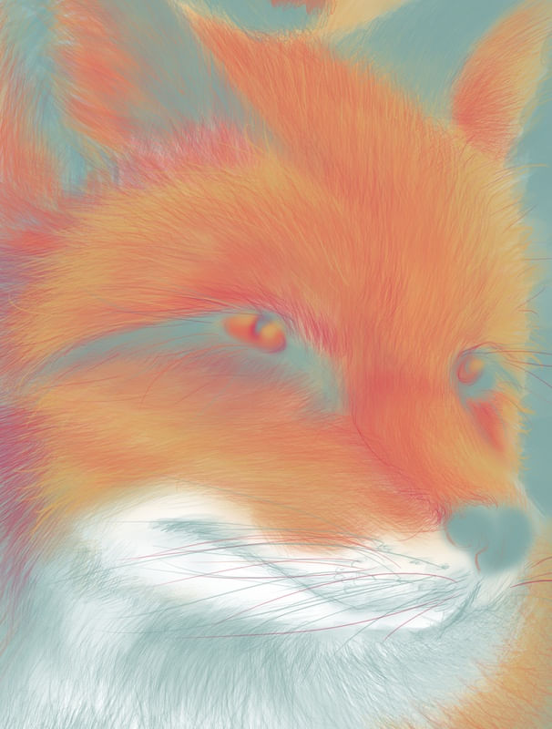 THE POP FOX