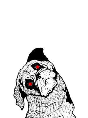 RED EYED PUG
