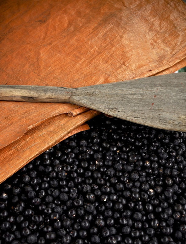 AÇAÍ