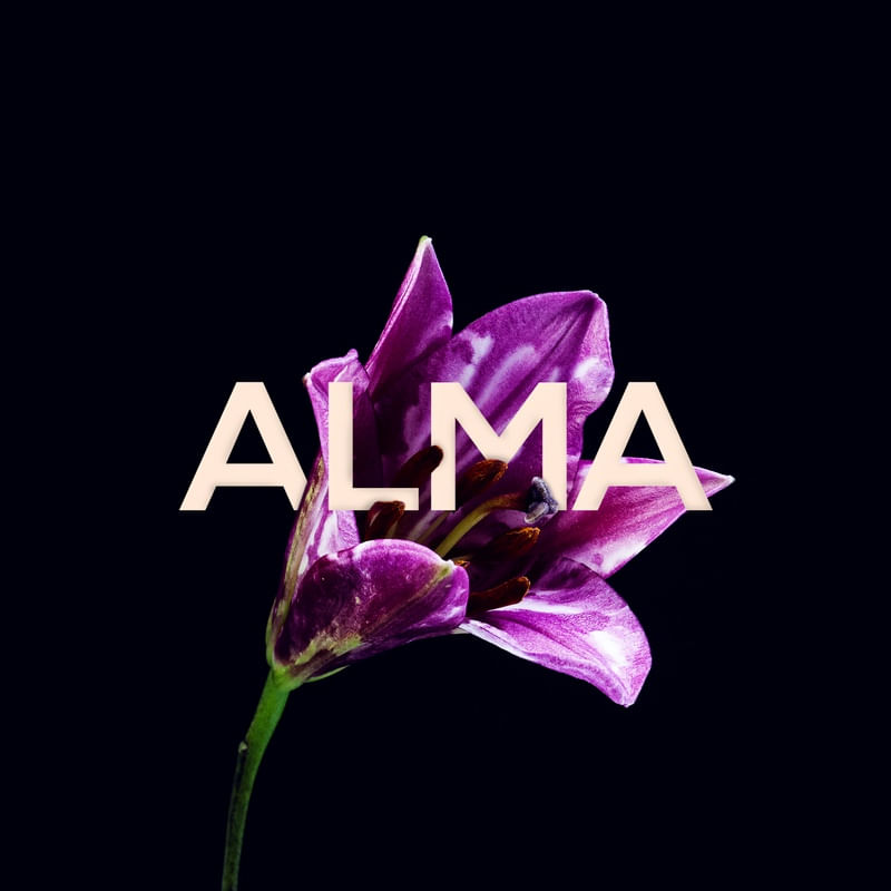 ALMA E FLOR