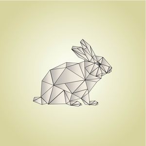 GEOMETRIC RABBIT