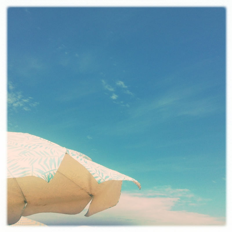BLUE SKY BEACH DAY