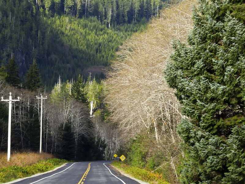 ROAD B.C