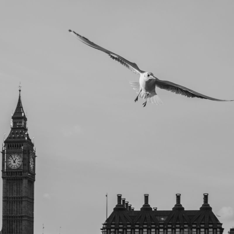 VOO BIG BEN