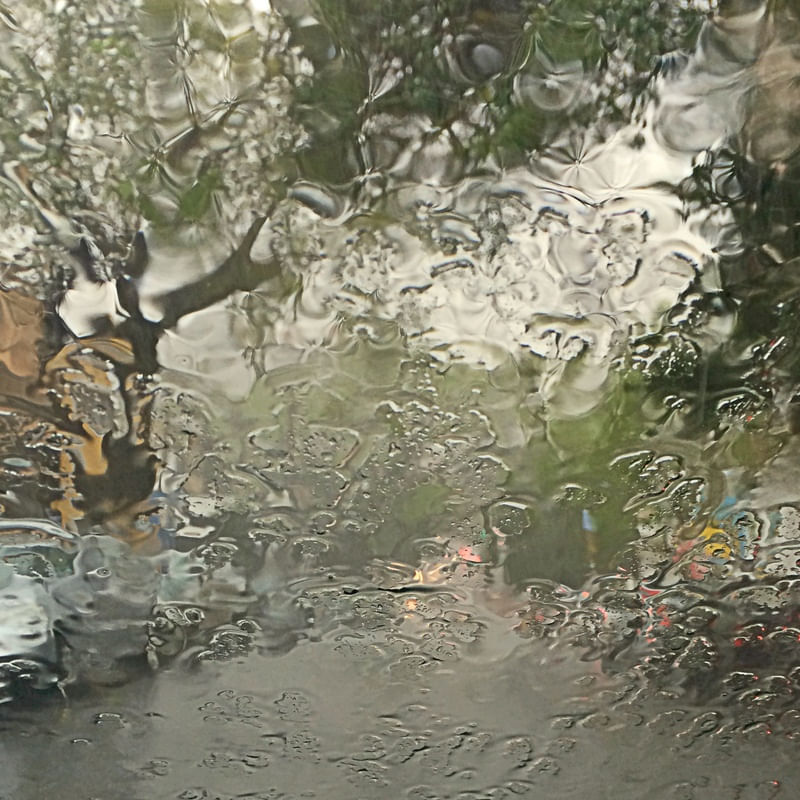 RAIN COLOR 3