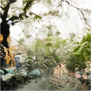 RAIN COLOR 4
