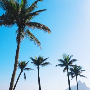 IPANEMA BEACH SKY