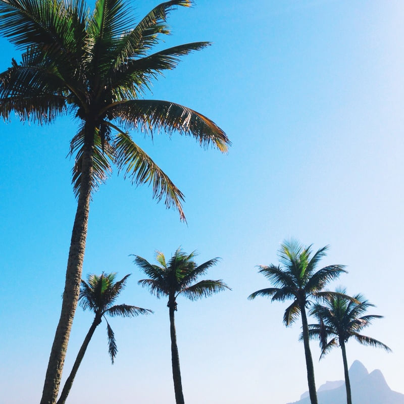IPANEMA BEACH SKY