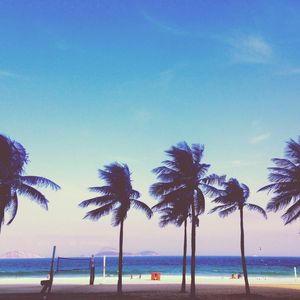 PALMTREES IPANEMA