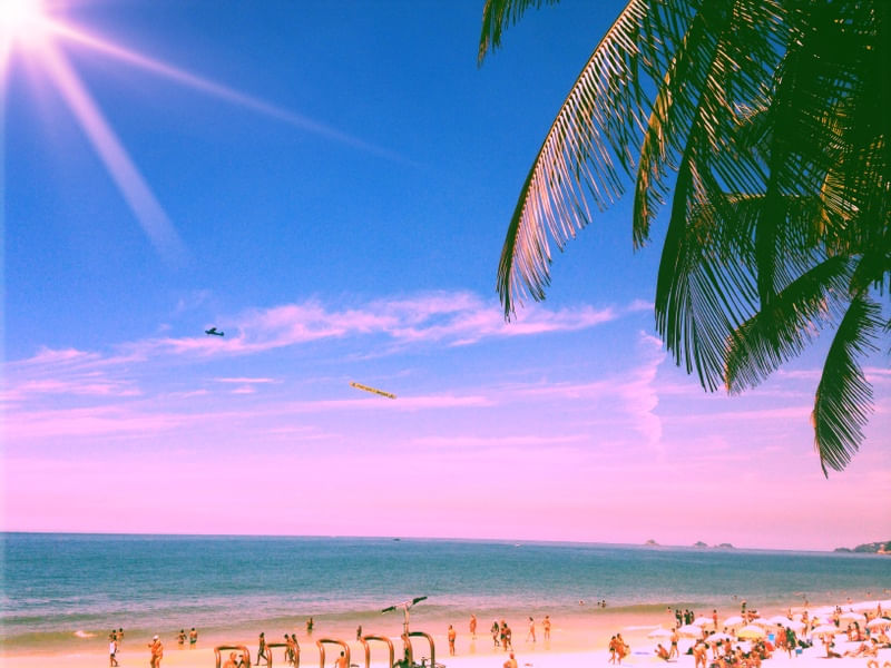 BEACH PALM DAY