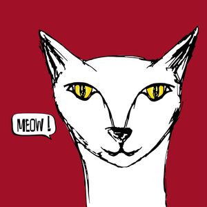 BIG MEOW!