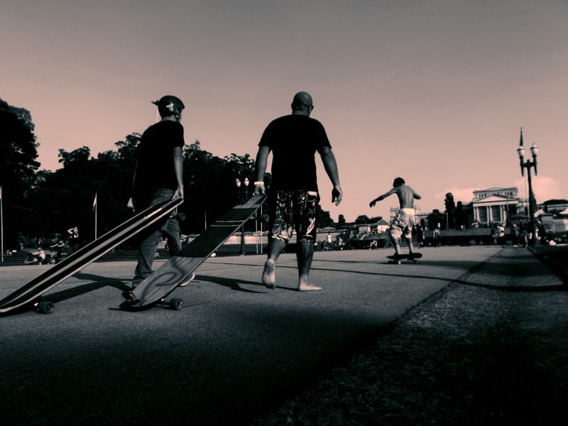 DOWNHILL - COMPANHEIRISMO