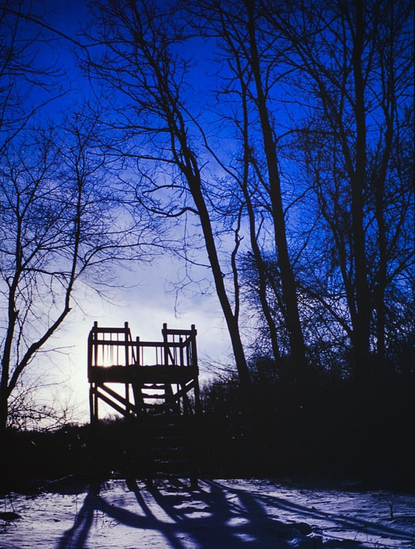 CREPÚSCULO