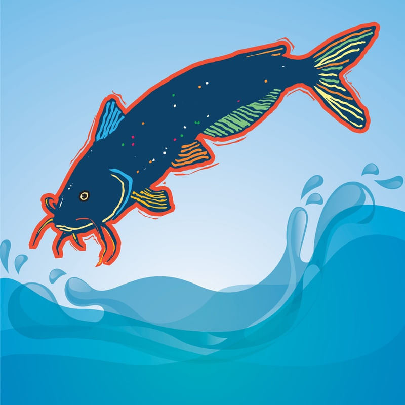 PEIXE NAS ONDAS