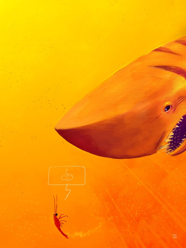 SHRIMP N SHARK