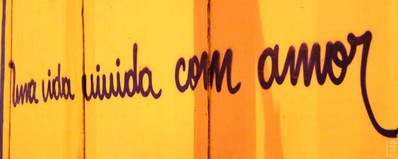 VIDA VIVIDA II