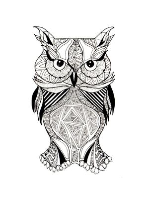 WIDE-EYED OWL