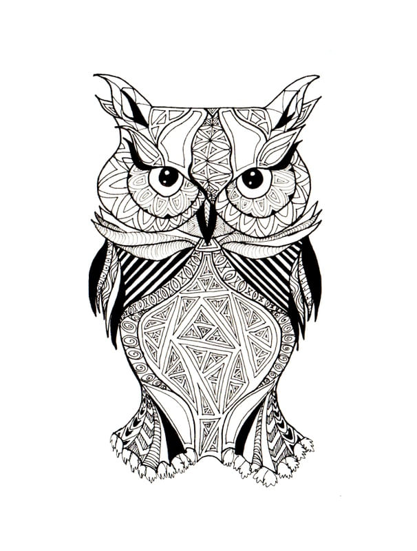 WIDE-EYED OWL