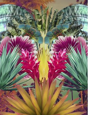 FUNDO DO MAR TROPICAL