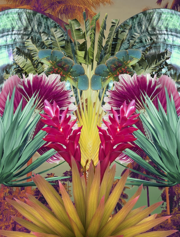 FUNDO DO MAR TROPICAL
