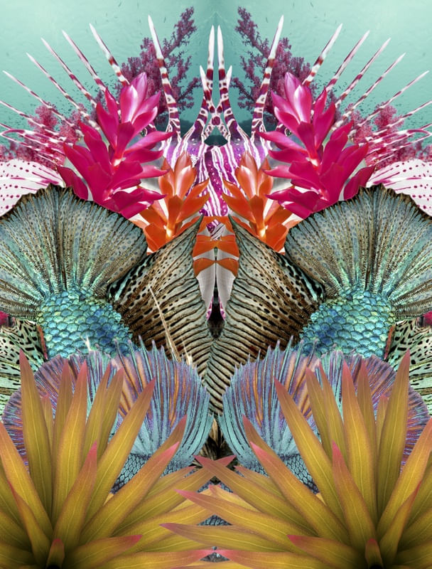 FUNDO DO MAR ESPELHADO